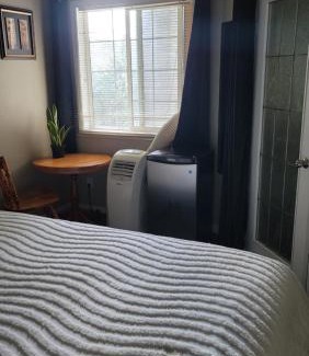 Southwest Calgary House | The King place, close to CTrain and Spruce Meadows Equestrian