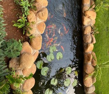 Buon Ma Thuot Villa | THE LAND OF LOVE Homestay - Venuestay