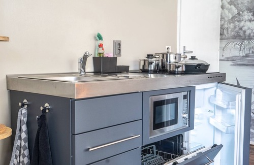 Groningen Apartment | The Lion King