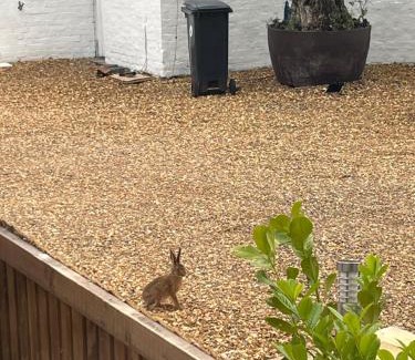 Mynydd Isa Apartment | The Little Bitty Farm Lodge