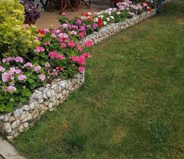 Nestos House | The Little Blooming House