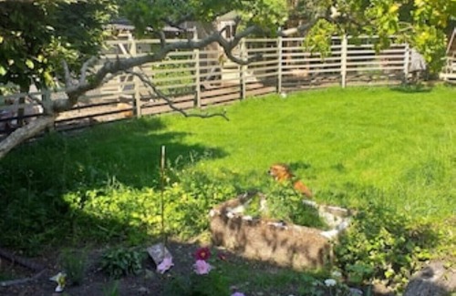 Hull Cottage | The Little House in HullnPET FRIENDLY nSanctuary in the City