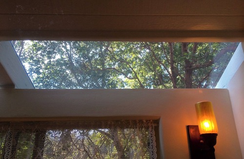 Carmel Cabin | The Little Gem in Big Sur w/Private Hiking & Views