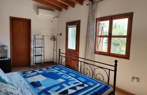 Agios Theodoros House | The Little House