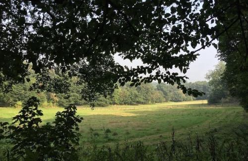 Welwyn Apartment | The Little Lodge House