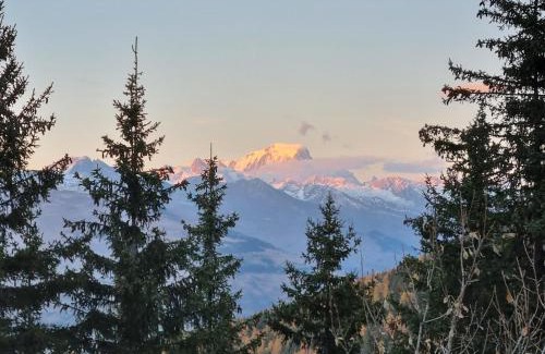 La Roche Apartment | The little refuge of La Plagne (French Alps)