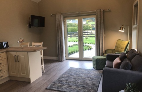 South Tipperary Cabin | The Lodge - Rural Tipperary bordering Kilkenny