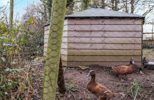 Llangefni House | The Lodge - Uk48785