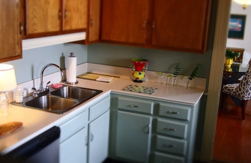 West Riverside House | The Magic Cottage - Heart of Uptown New Orleans