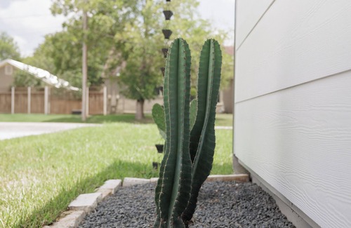 Cuero House | The Main St House-Charming 2-bedroom home, fitness room in peaceful Cuero