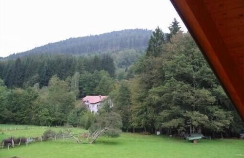 Sapois Ski Chalet | The Marlotte new mountain style timber chalet, very tasteful decoration
