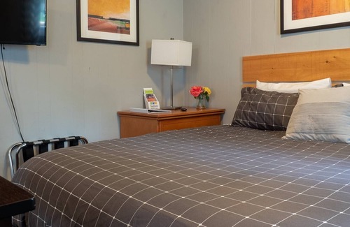 Bloomfield Apartment | The Milford-PEC Couple's Getaway