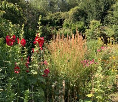 Berwick St James Bed & Breakfast | The Mill House