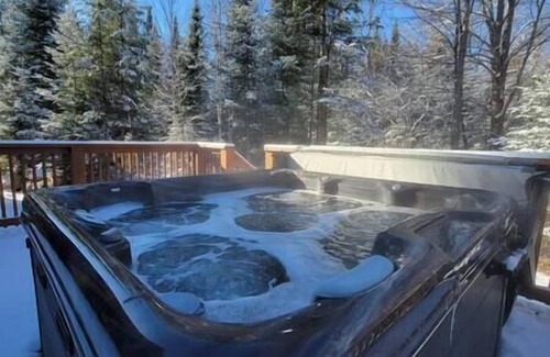 Whippleville Cabin | The Modern Pine Tiny Home - With Hot Tub Near Titus Mountain