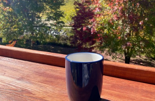 Lansing Apartment | The Mountaineer Lodge