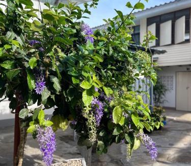 Chanthaburi House | The Neighbors