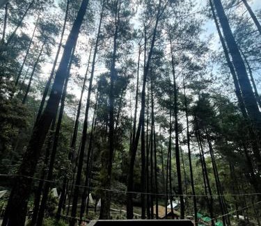 Tretes Hotel | The Nest Park