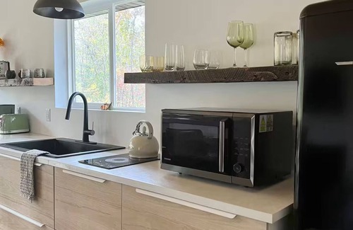Menomonie House | The Nordic Nest- a unique getaway! Close to trails, Menomonie-Stout- 6 miles