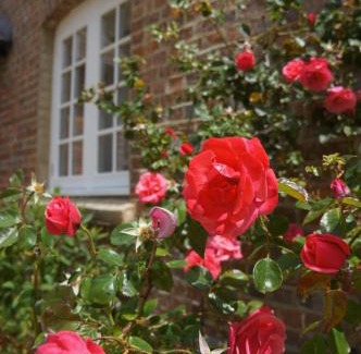 Bere Regis Bed & Breakfast | The Old Mill Bed and Breakfast
