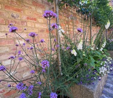 Towcester House | The Old Wheatsheaf