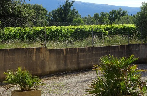 Carpentras House | ' the olive branch ' Gite in Provence, near Mt Ventoux