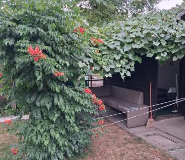 Ljubljana Other | THE ONLY Ljubljana river run with a water float adventure and a adrenaline packed bicycle ride to a nearby hill Rasica for an amazing view of entire Slovenia with a stay in a romantic private garden house room and outdoor apartment PERSONAL GUIDANCE