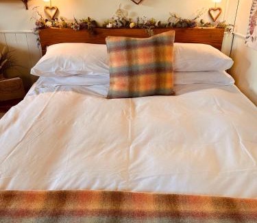 Pen-y-cae House | The original Sleeping Giant Lodge with hot tub & Alpacas