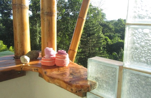 Puerto Jimenez House | The Osa Peninsula is teeming with exotic monkeys, birds, and wildlife.