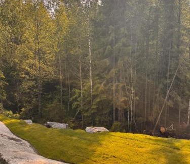 Losby House | The Oslo Cabin