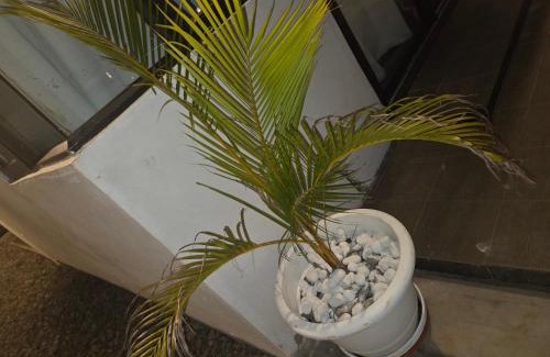 Calebasses Apartment | The Palms Property