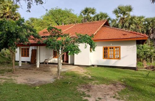 Mannar House | The Palmyrah garden and Resort