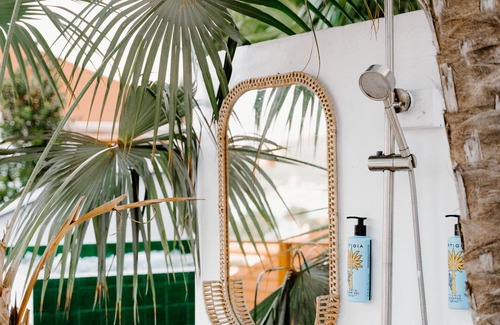 Flag Hill Hotel | The Pink Palm Hotel - Queen Room- USVI
