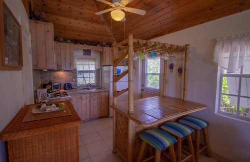 North Palmetto Point Cottage | The Pink Sand Cottage, Private Cozy Cottage, Right on the Beach!