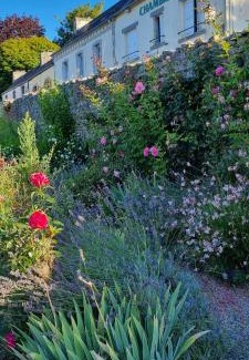 Huelgoat Bed & Breakfast | The Place to B & B