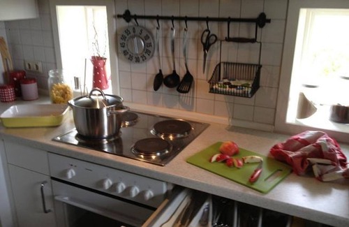 Norderfriedrichskoog House | The poorhouse