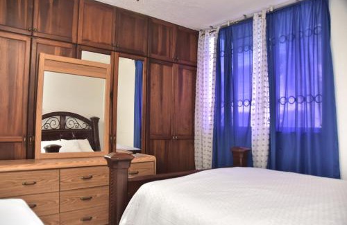 Saint Andrew Bed & Breakfast | The president room 5 minutes to Devon House 4 Waterloo Avenue Kingston