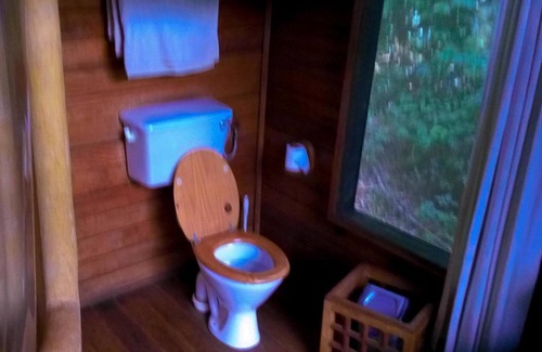 Mabira Cabin | The Rainforest Geo Lodge