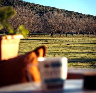 Zitsa Ski Chalet | The Rancho Relaxo