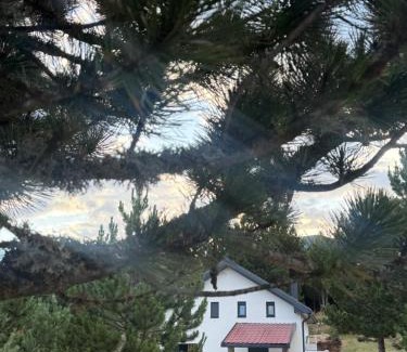 Blidinje Nature Park Ski Chalet | The Rest Nest