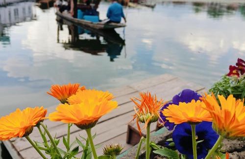 Dal Lake Bed & Breakfast | The Retreet Houseboat