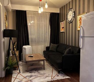 Zeytinburnu Apartment | The Riyal İstanbul Apartment