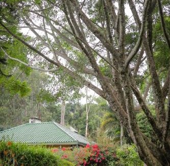 Bandarawela Villa | The Secret Garden