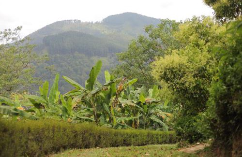 Bandarawela Villa | The Secret Garden