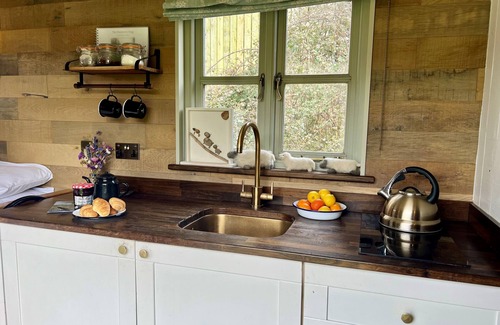 West Compton Ski Chalet | The Shepherds Snug - sleeps 2 guests in 1 bedroom