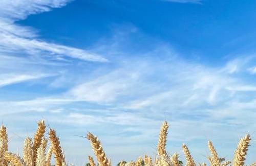 Stamford Apartment | The Silos by Stamford Holiday Cottages