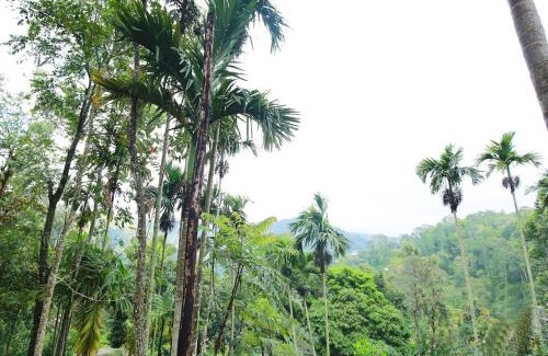 Ambagollapathana Cabin | The Spice Lodge