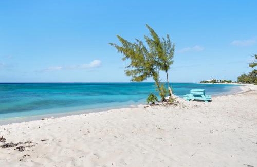 Cockburn Town Villa | The Sunflower Villa 3 Bedroom Entire Beach House In Grand Turk