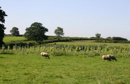 Brigstock Bed & Breakfast | The Swallows Rest Bed & Breakfast