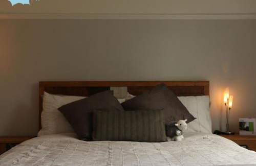 Holestone Moor Bed & Breakfast | The Sycamores Nutrition & Retreat