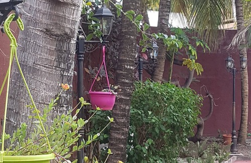 Black River Villa | The Tourelle Paradise big pool Ministry Tourism Price for 7 pers